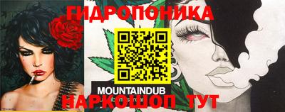 амф Старая Купавна
