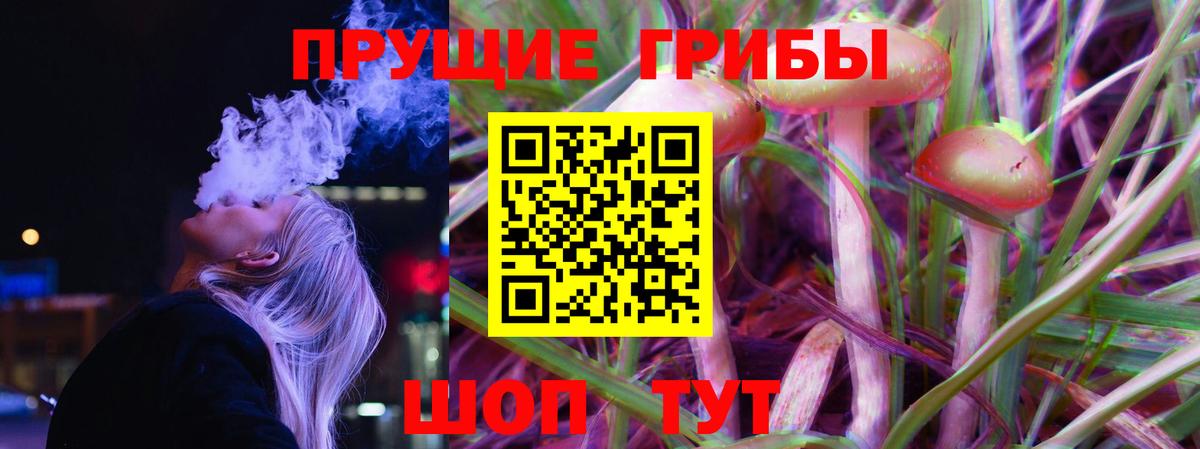 Галлюциногенные грибы прущие грибы  как найти   Острогожск  Вход с VPN 